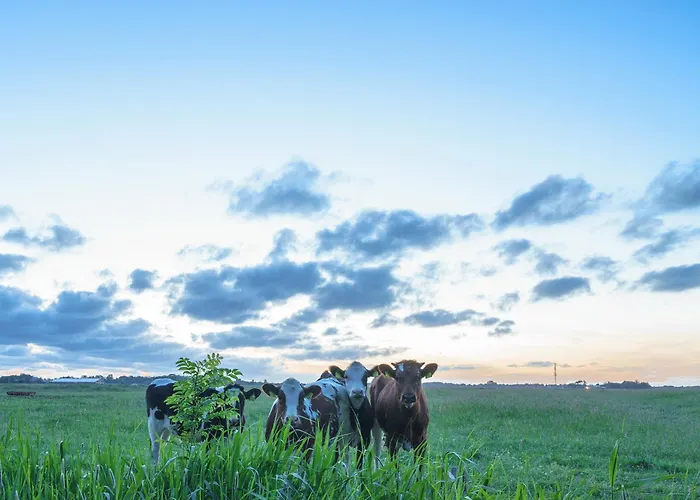 Appartement Hw App 9 Welt